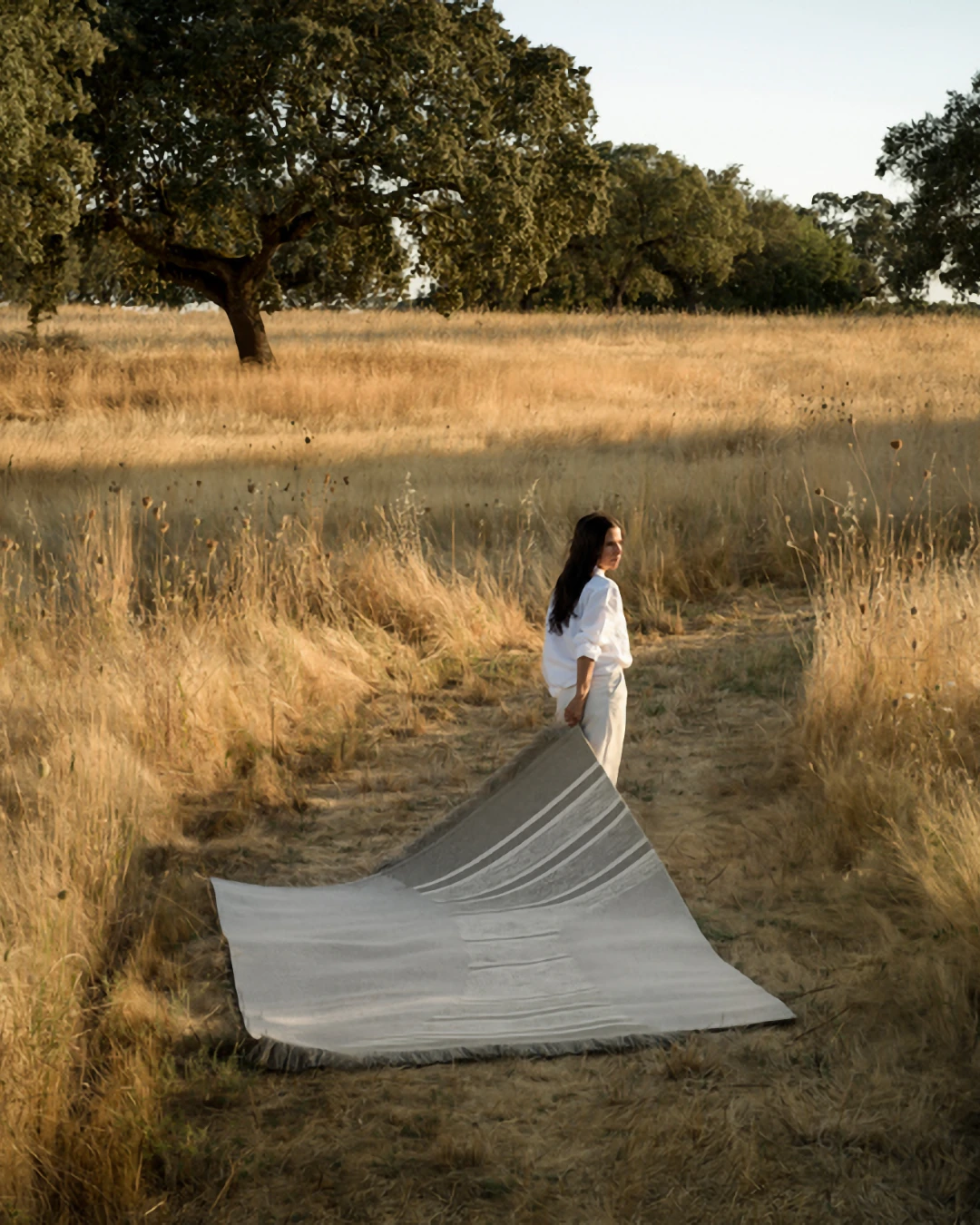 Ferreira de Se Alem Tejo Collection Alvorada 2