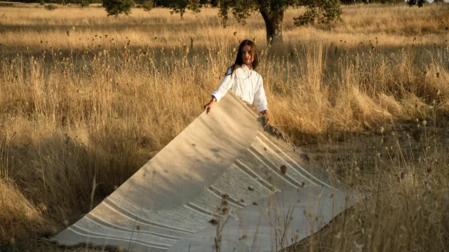 Ferreira de Sé Featured Image