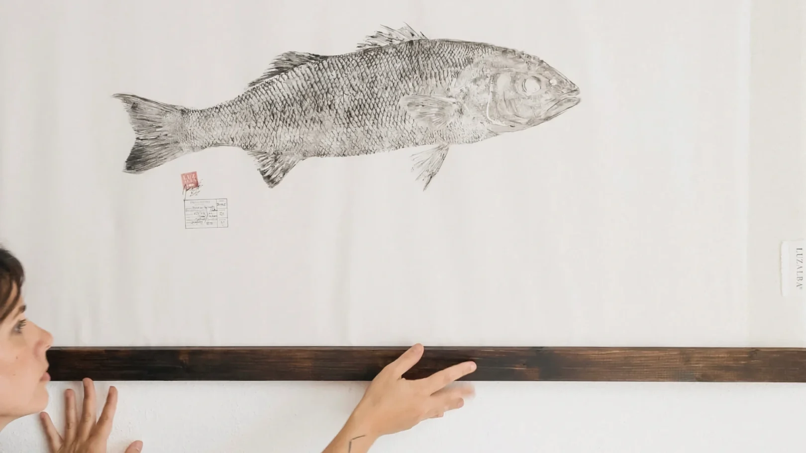 LUZALBA - FLUSO collection - Robalo